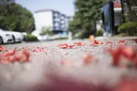 扔鞭炮诱发他人脑出血，该如何担责？图片