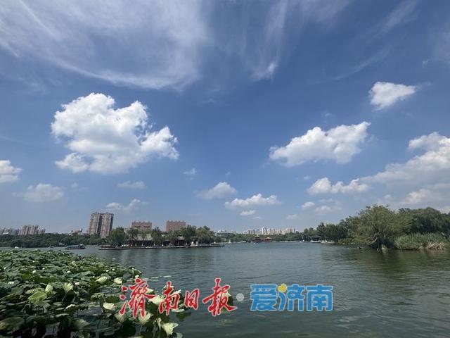 一年四季 泉在济南丨初秋大明湖：蓝天白云相映 画卷徐徐展开