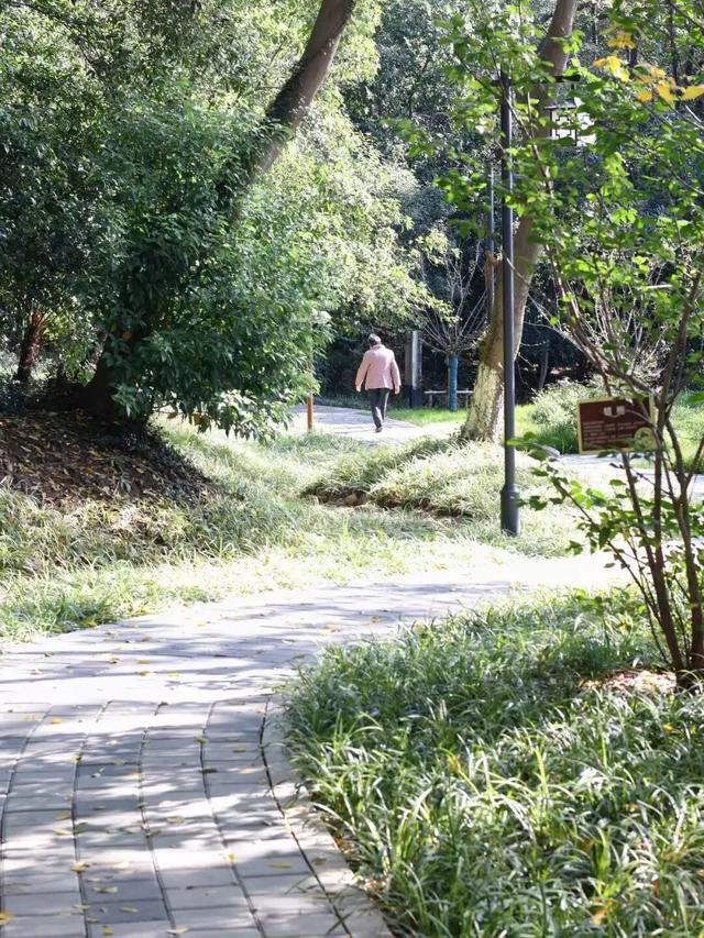 在雨山邂逅暗香苑，寻见一方藏在城市角落的桃花源