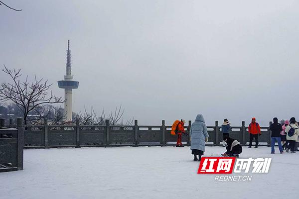组图丨银装素裹，美成水墨画！岳麓山限定版冬景“上新”