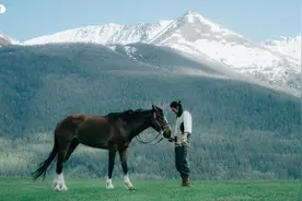 白玉兰绽放｜《我的阿勒泰》获得最佳中国电视剧奖图片