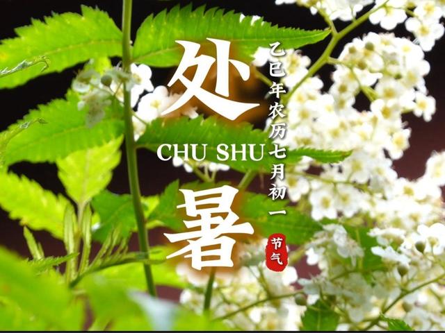 北京号最精彩 | 京城这处约2.3万平方米桥下新空间免费开放