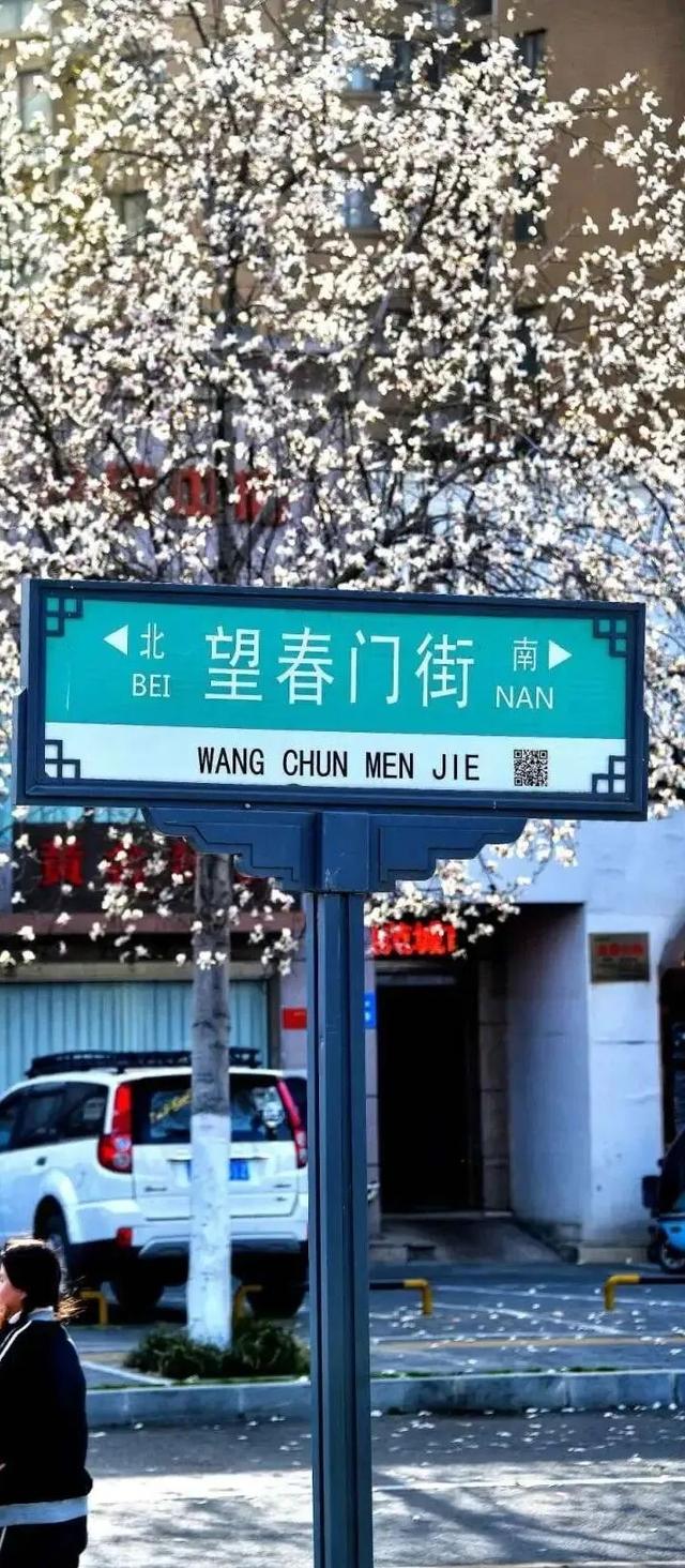 不愧是洛阳，连街名都是“细糠”！