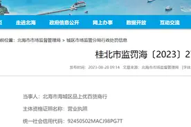 进口化妆品无中文标签、未建立并执行进货查验记录制度，北海一商行被罚2000元图片
