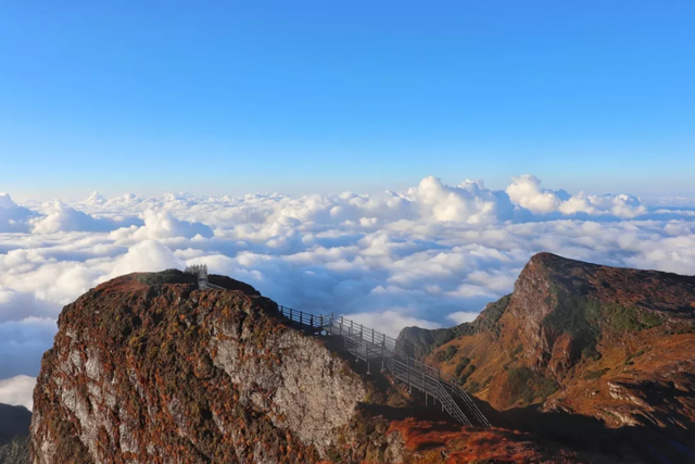 星空云海交织 轿子山现壮美景观