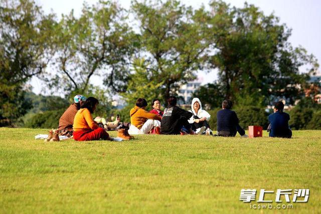 气温回升秋阳灿烂，湖南烈士公园成市民赏秋好去处｜组图