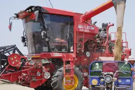 南阳卧龙抢农时忙“三夏” 护航小麦颗粒归仓图片