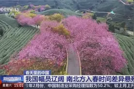 三月春暖 花开烂漫 漫卷春色在神州大地渐次铺展图片