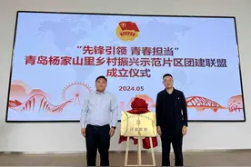 先锋引领，青春担当！杨家山里乡村振兴示范片区团建联盟成立图片
