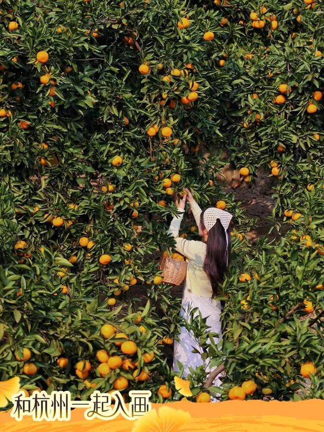 秋冬盛宴来袭，6条宝藏线路玩转杭城！