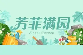 芳菲满园丨葡萄藤下的夏日，是清凉和浪漫图片