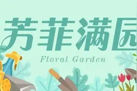 芳菲满园丨一枚小种子，收获一片惊喜图片