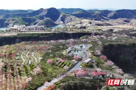 组图 | 苏仙区高椅岭千亩樱花园春景浪漫图片