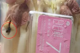恶心！盒马鲜生买来的“日日鲜”花生芽里竟“趴”着两只苍蝇 消费者：单品退款后就没下文了……图片