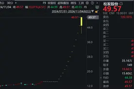 “12连板+地天板”，大涨245%！大牛股：可能被实施退市风险警示！图片