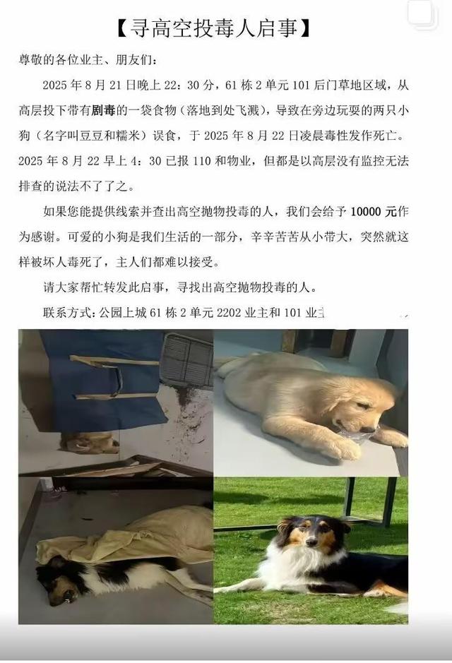 一小区有人高空抛食毒死多条宠物狗