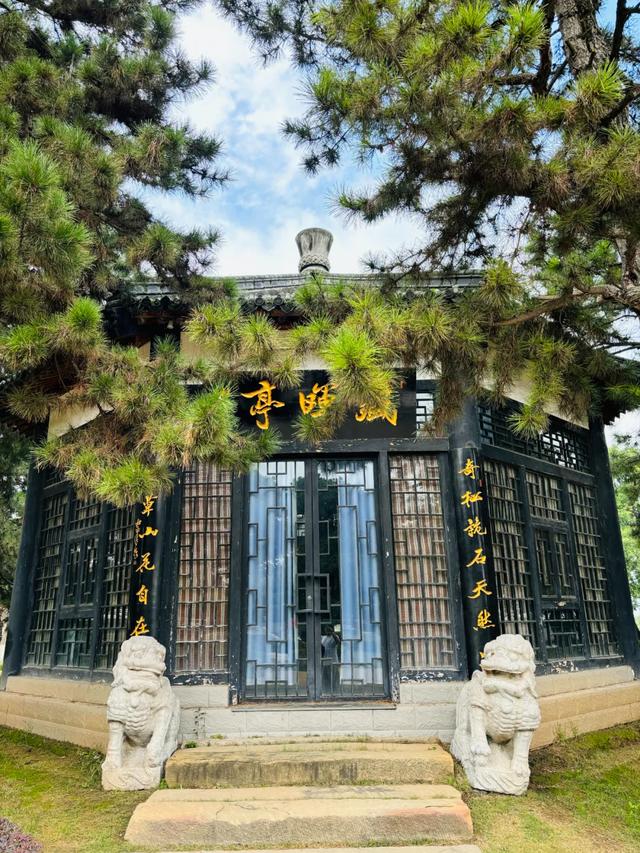 顶级美学！西安这4个园林，美到失语！