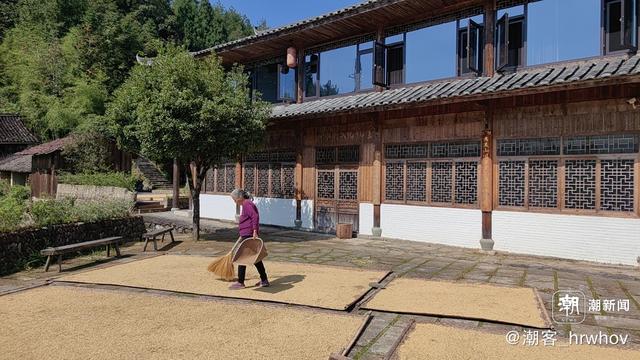 晚潮｜秋色最浓是老家