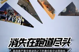 民航局回应国际空难频发：采取措施强化鸟击防范排查跑道隐患图片