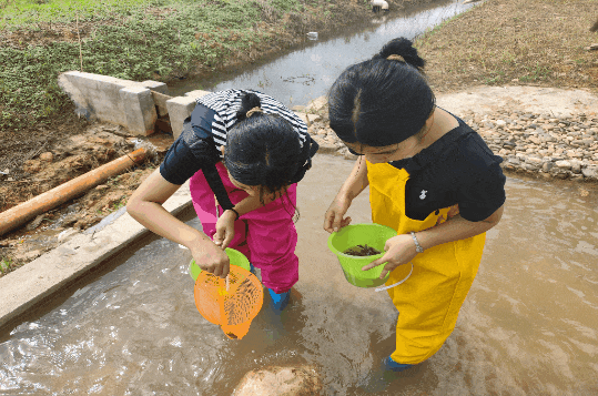 禾风稻田农场12月13日、14日盛大开启！