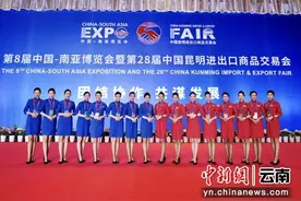 中国东航全方位升级服务 助力南博会办出精彩图片