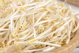 【食品安全知识】豆芽图片