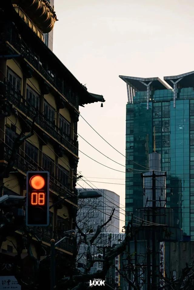 冬日打开指南！去愚园路静安段逛街→