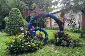 国庆假期闭园时间延长至19时，广州兰圃九大活动板块庆祝华诞图片