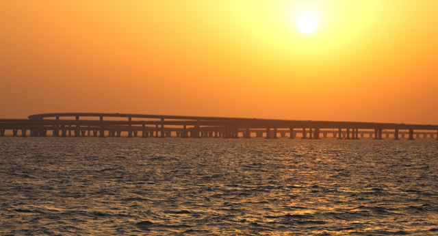 东大洋“海上穿越大桥”系列航线销售突破308万元：淡季引爆市场，点燃城市文旅新热潮！