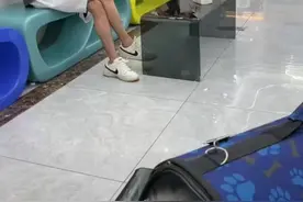 深夜宠物医院探访：一个毛孩子两个家长陪 网友：我吃药一百嫌贵 给猫看病一千便宜！图片