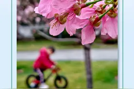 早参｜今天十时起可查广东2025高考英语听说考试成绩；广州清明假期先晴后雨图片