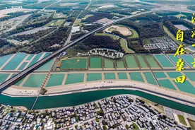 佛冈龙山：发力高端水产养殖业，打造宜居宜业幸福下岳图片