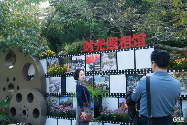 先睹为快！2025青岛中山公园第41届菊展将于本周六启幕