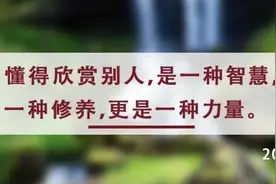 夜读丨看到生活之美，这一人生智慧不可或缺图片