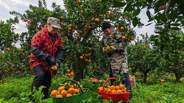 看，丹江口水库中央这幅“水墨长卷”！
