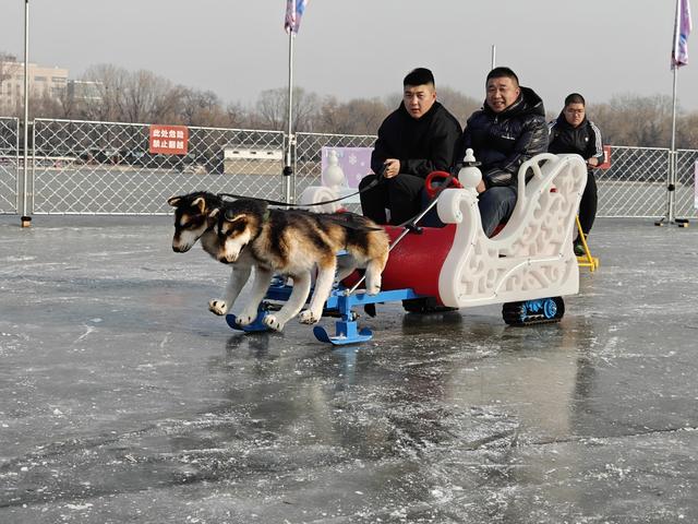 时隔六年，玉渊潭公园冰场今天以全新面貌迎客（留言有福利）