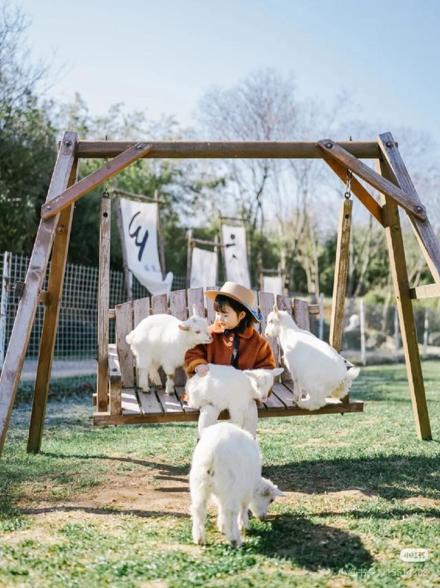 江宁初冬亲子“三件套”→