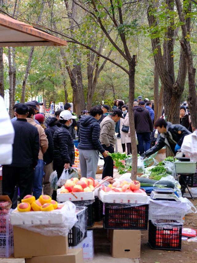 冷到不想动？这份抗寒密码让你越动越暖！