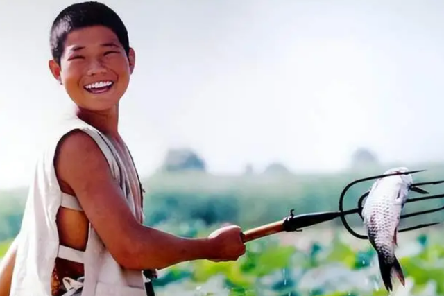 36岁男演员演出被取消，此前曾被拘留7日