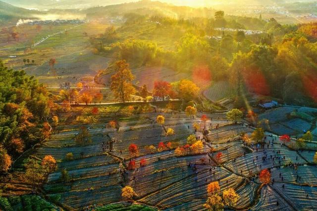 共祝申遗成功25周年 | 四大景区携手联动——西递、宏村