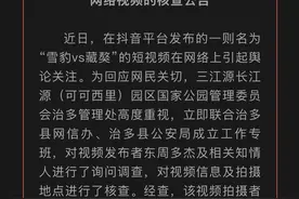 官方澄清“放恶犬围捕雪豹”网络传言：受伤雪豹获救，身体无动物咬伤痕迹图片