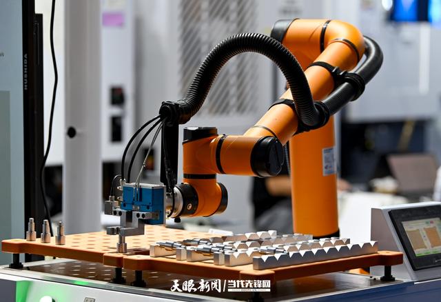G视觉丨热度高涨！2025数博会：科技魅力吸引众人驻足