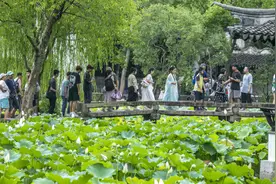 暑期旅游高峰来临 亲子游成主力军图片