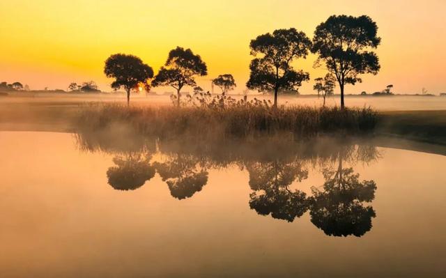 一眼沦陷！陈家镇的秋景藏着极致浪漫