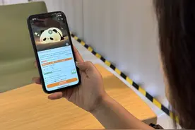 中国经济样本观察·企业样本篇｜从0到70，跨境电商平台Temu出海记图片