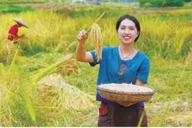 一个“腰部”乡村主播的烦恼图片