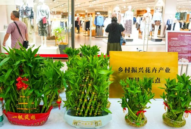 浪漫值MAX！北京路，开“花”了！