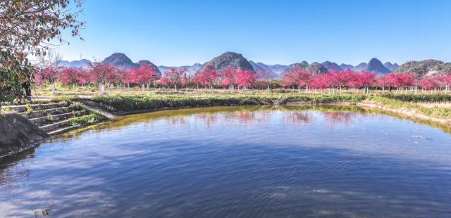 山水醒了，人醉了——有一种叫云南的生活之365天