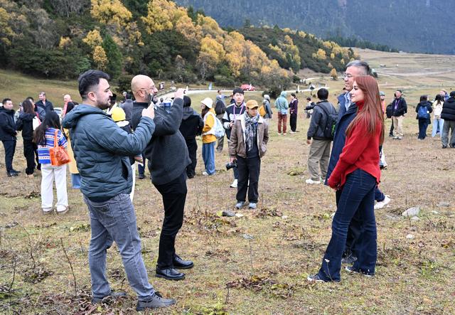 世界屋脊 绿色华章