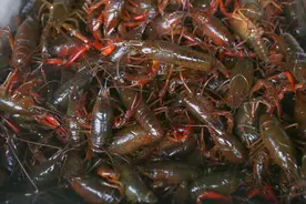 价格腰斩，今年第一顿小龙虾你尝鲜了吗？图片